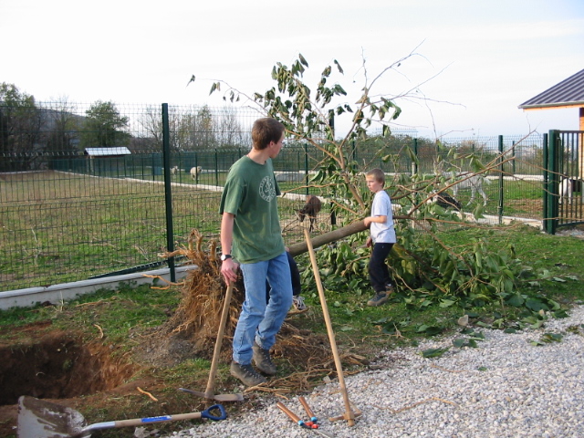 Plantation d'un arbre au Refuge de l'espoir